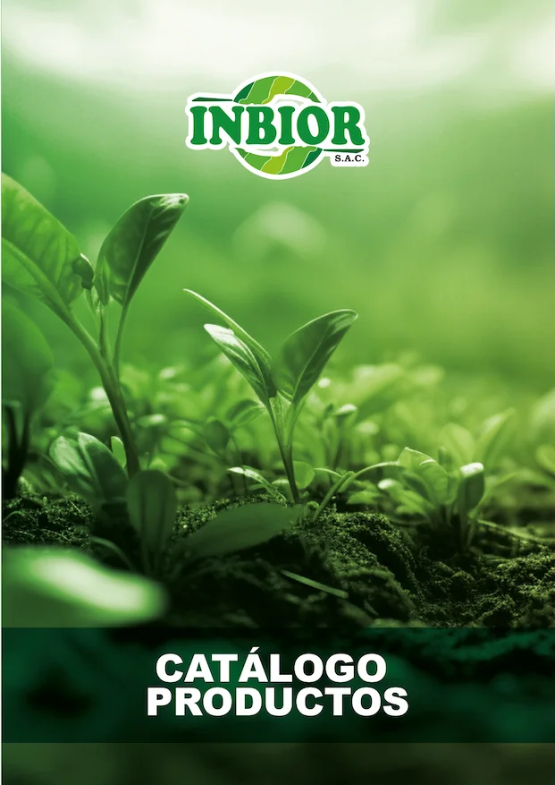 Catálogo de Productos