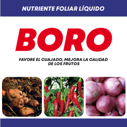 Etiqueta de producto Boro