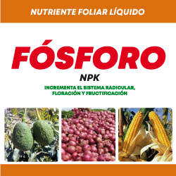 Etiqueta de producto Fósforo NPK