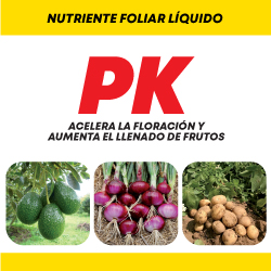 Etiqueta de producto PK