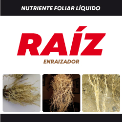 Etiqueta de producto Raíz